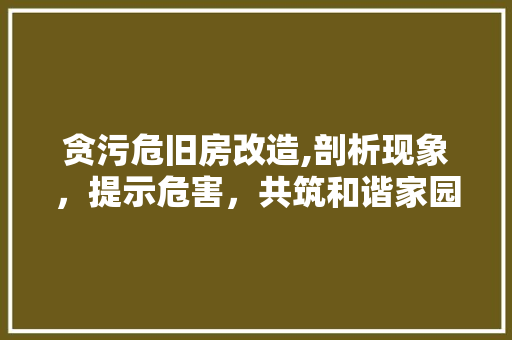 贪污危旧房改造,剖析现象，提示危害，共筑和谐家园