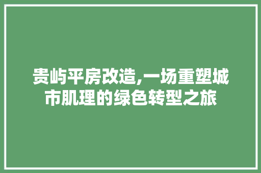 贵屿平房改造,一场重塑城市肌理的绿色转型之旅