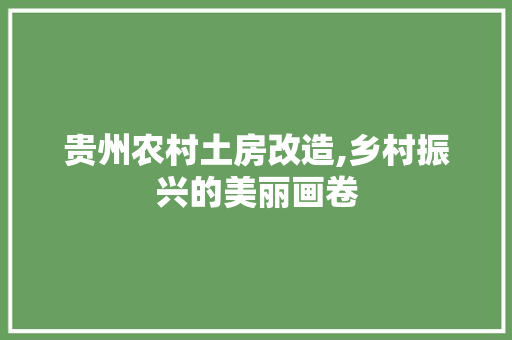 贵州农村土房改造,乡村振兴的美丽画卷