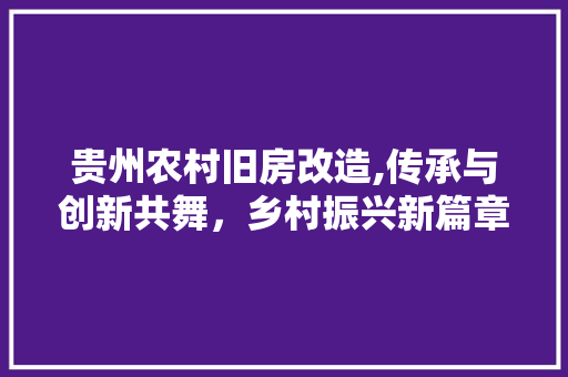 贵州农村旧房改造,传承与创新共舞，乡村振兴新篇章