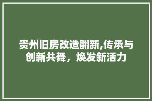 贵州旧房改造翻新,传承与创新共舞，焕发新活力