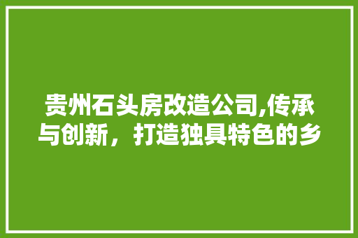 贵州石头房改造公司,传承与创新，打造独具特色的乡村民居