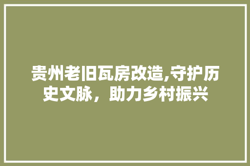 贵州老旧瓦房改造,守护历史文脉，助力乡村振兴