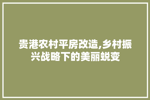 贵港农村平房改造,乡村振兴战略下的美丽蜕变