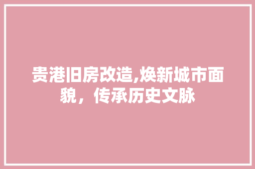 贵港旧房改造,焕新城市面貌，传承历史文脉