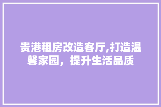 贵港租房改造客厅,打造温馨家园，提升生活品质