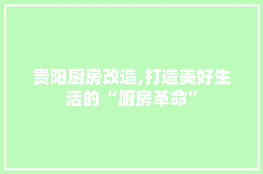 贵阳厨房改造,打造美好生活的“厨房革命”