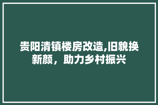 贵阳清镇楼房改造,旧貌换新颜，助力乡村振兴