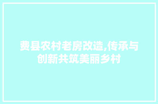 费县农村老房改造,传承与创新共筑美丽乡村