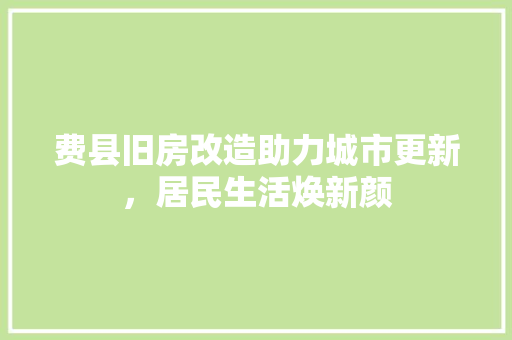 费县旧房改造助力城市更新，居民生活焕新颜