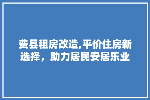 费县租房改造,平价住房新选择，助力居民安居乐业