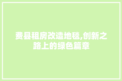 费县租房改造地毯,创新之路上的绿色篇章