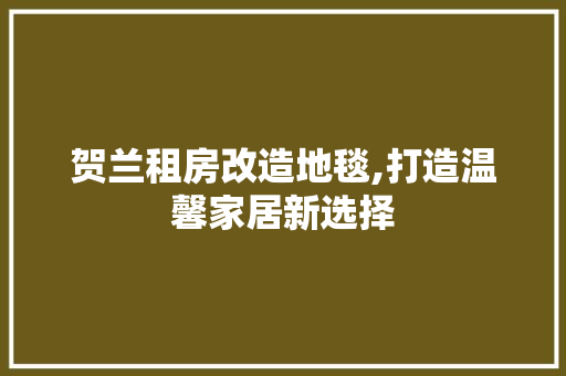 贺兰租房改造地毯,打造温馨家居新选择