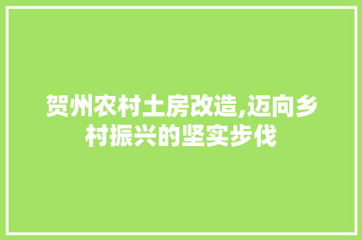 贺州农村土房改造,迈向乡村振兴的坚实步伐