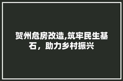 贺州危房改造,筑牢民生基石，助力乡村振兴
