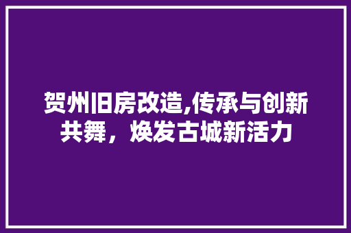 贺州旧房改造,传承与创新共舞，焕发古城新活力