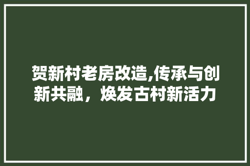 贺新村老房改造,传承与创新共融，焕发古村新活力