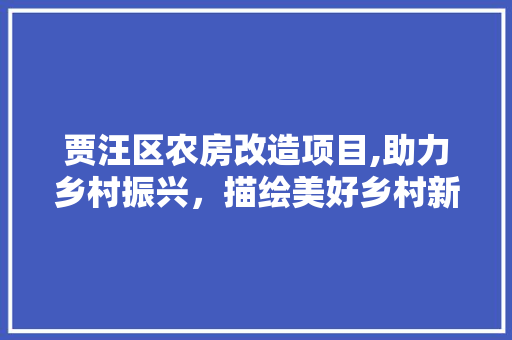 贾汪区农房改造项目,助力乡村振兴，描绘美好乡村新画卷