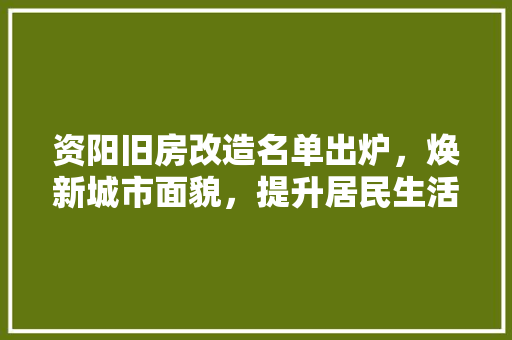 资阳旧房改造名单出炉，焕新城市面貌，提升居民生活品质