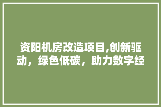 资阳机房改造项目,创新驱动，绿色低碳，助力数字经济发展