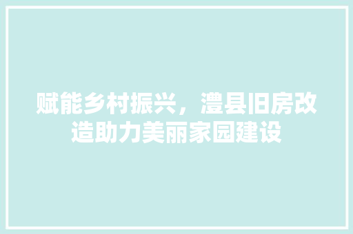 赋能乡村振兴，澧县旧房改造助力美丽家园建设