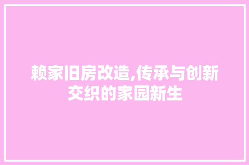 赖家旧房改造,传承与创新交织的家园新生