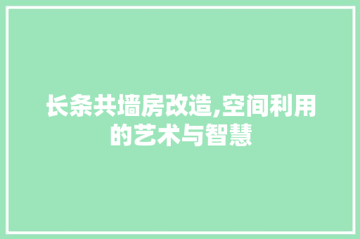 长条共墙房改造,空间利用的艺术与智慧