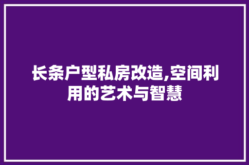 长条户型私房改造,空间利用的艺术与智慧