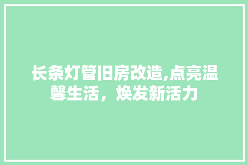 长条灯管旧房改造,点亮温馨生活，焕发新活力
