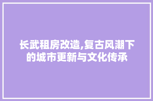 长武租房改造,复古风潮下的城市更新与文化传承
