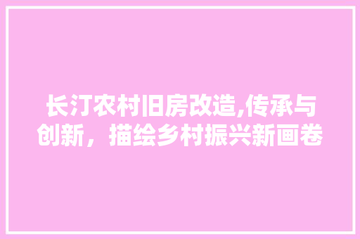 长汀农村旧房改造,传承与创新，描绘乡村振兴新画卷