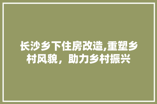 长沙乡下住房改造,重塑乡村风貌，助力乡村振兴