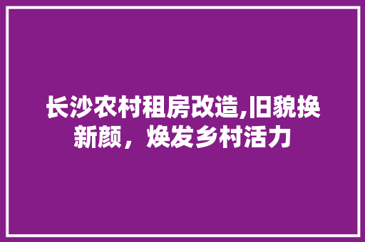 长沙农村租房改造,旧貌换新颜，焕发乡村活力