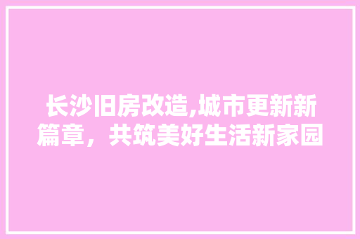 长沙旧房改造,城市更新新篇章，共筑美好生活新家园