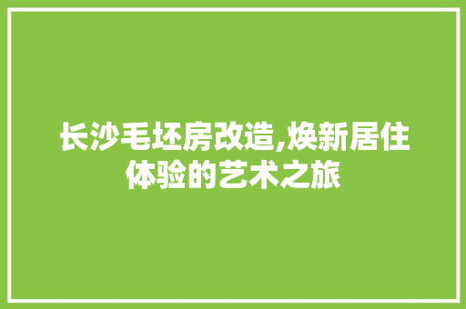 长沙毛坯房改造,焕新居住体验的艺术之旅 居家维修
