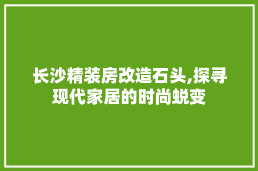 长沙精装房改造石头,探寻现代家居的时尚蜕变