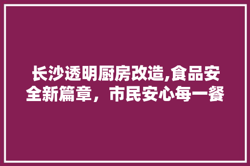 长沙透明厨房改造,食品安全新篇章，市民安心每一餐