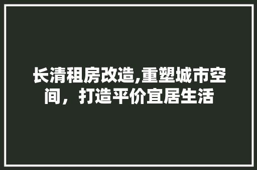 长清租房改造,重塑城市空间，打造平价宜居生活