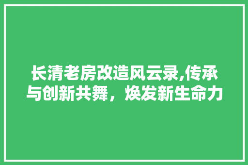 长清老房改造风云录,传承与创新共舞，焕发新生命力 厨房维修