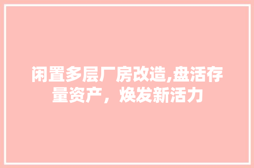 闲置多层厂房改造,盘活存量资产，焕发新活力