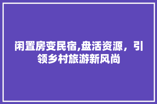 闲置房变民宿,盘活资源，引领乡村旅游新风尚