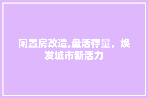 闲置房改造,盘活存量，焕发城市新活力