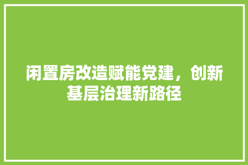 闲置房改造赋能党建，创新基层治理新路径