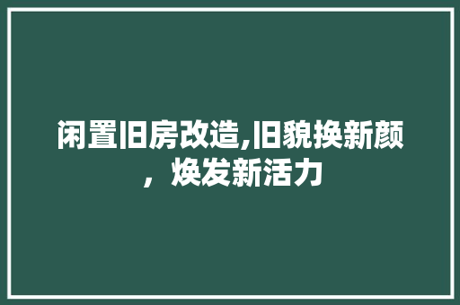 闲置旧房改造,旧貌换新颜，焕发新活力
