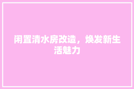 闲置清水房改造，焕发新生活魅力