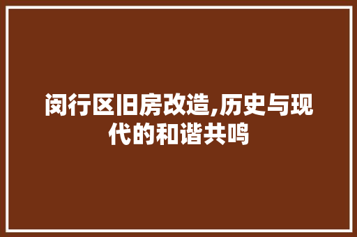 闵行区旧房改造,历史与现代的和谐共鸣