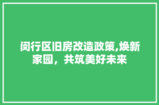 闵行区旧房改造政策,焕新家园，共筑美好未来