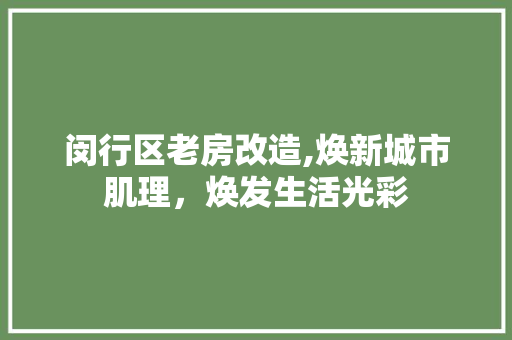 闵行区老房改造,焕新城市肌理，焕发生活光彩