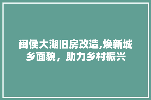 闽侯大湖旧房改造,焕新城乡面貌，助力乡村振兴