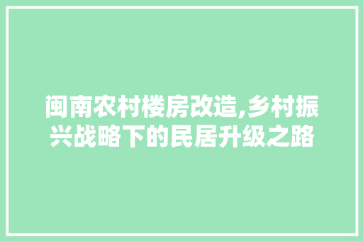 闽南农村楼房改造,乡村振兴战略下的民居升级之路